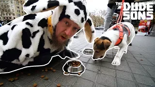 DOG FOOD CHALLENGE!