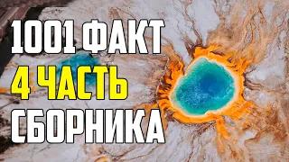 1001 МАЛОИЗВЕСТНЫЙ ФАКТ ОБО ВСЕМ НА СВЕТЕ