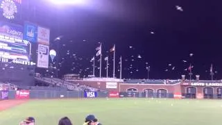 Flying cleaning crew at ATT park