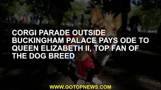 Apart from the Buckingham Palace, the Corgi Parade ceremony was the best fan of the dog genus Queen