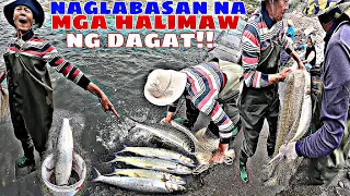 PINAGKAGULUHAN NA ANG MGA HALIMAW SA LAKING MGA ISDA!! NAPATAKBO AKO SA SIGAWAN NG MGA TAIWANESE!!