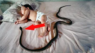 Dieses Baby schläft jede Nacht mit einer giftigen Schlange - der Grund schockiert dich!