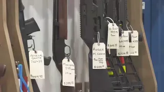 Gun owners, gun violence victims sound off ahead of historic Minnesota vote