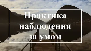 Лакшми. Практика наблюдения за умом