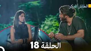 مسلسل الطائر المبكر الحلقة 18 (Arabic Dubbed)