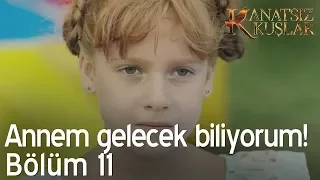 Annem gelecek biliyorum! - Kanatsız Kuşlar 11. Bölüm