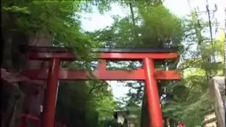 Madrileños por el Mundo: Kyoto (Japón)