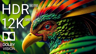 12K HDR 60FPS DOLBY VISION - COLORFUL WORLD ANIMALS - ANIMALS SOUNDS