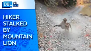 Terrifying: Man Stalked by Mountain Lion for Six Minutes