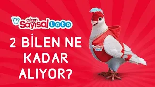 Çılgın Sayısal Loto 2 Bilen Ne Kadar Alıyor?