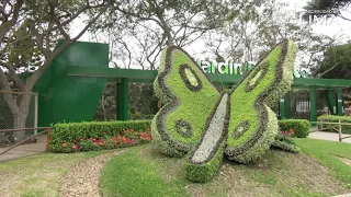 El Parque de las Leyendas reabiró el Jardín Botánico