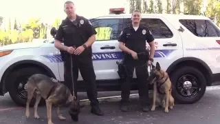 K9 Holiday Video