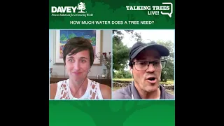 Tree Watering Tips: How Much Water Does a Tree Need