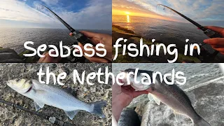 Seabass fishing - Zeebaars vissen - ‎صيد القروص/الدرعي - Levrek/Spigola/labrax
