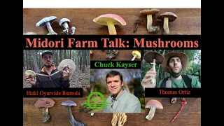 Midori Farm Talk #5: Mushrooms