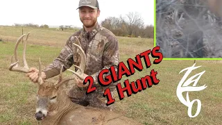 170" Missouri Public Land GIANT Buck