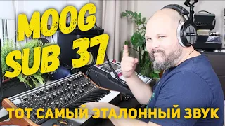 Moog Sub 37 - Обзор аналогового синтезатора