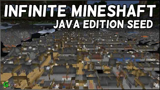 The Infinite Mineshaft Seed