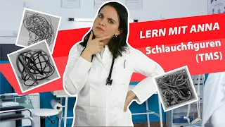TMS | Der Medizinertest | Schlauchfiguren | Lern mit Anna! #tms #lernenmityoutube #schlauchfiguren