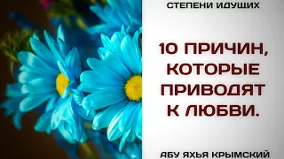 105. 10 причин, которые приводят к любви || Абу Яхья Крымский