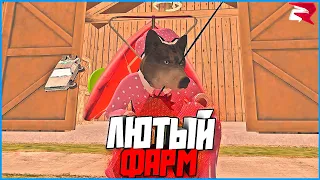 СРОЧНО ПОКУПАЙТЕ САД! ЛЮТЫЙ ФАРМ 16КК В ЧАС! | #1078 | Родина RP (CRMP)