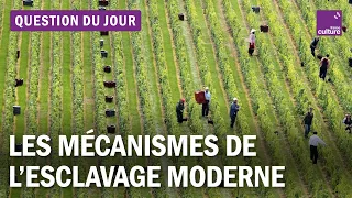 Commémoration de l’esclavage : comment la traite humaine se perpétue par l'exploitation au travail ?