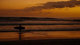 Playa Guiones in Nosara, Costa Rica - (4k)