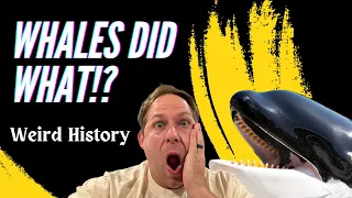 Whales Hunting with Humans in the 1800s! (Weird History 01)