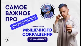 Физиология мышечного сокращения | Электромеханическое сопряжение