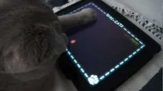 Cat plays Game For Cats on iPad : Кошка играет в игру для кошек на IPad