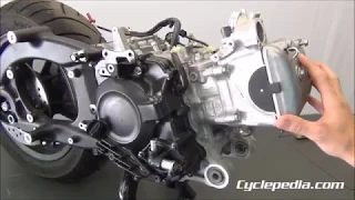 Honda Forza Engine Disassembly - Part 1