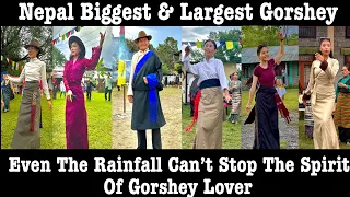 Nepal Biggest & Largest Gorshey Ever // Heavy Rainfall //  Special Lhakar // Tashiling Gorshey