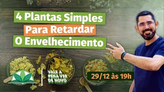 Vale a pena ver de novo: Retardar o envelhecimento!