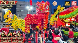 CNY 2024 - Acrobatic Lion & Dragon Dance @ Loong Kee Jalan Alor 龙年舞龙 欢庆元宵佳节 高桩舞狮表演