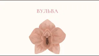 Вульва - что это такое и как она устроена?