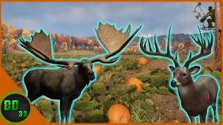 The Greatest Pumpkin Patch Bow Hunt We've Ever Had! Call Of The Wild