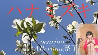 ハナミズキ　一青窈　ocarina  AReriina亮子