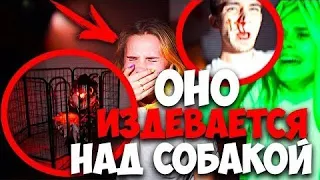 КЛОУН УДАРИЛ САШУ В НАШЕМ ДОМЕ НОЧЬЮ 3:00! ОНО ПУГАЕТ СОБАК В КЛЕТКЕ! ПАРЕНЬ ПОДРАЛСЯ С КЛОУНОМ!