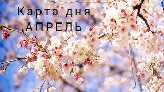 26 апреля 2024 года Карта дня ❤️ Таро предсказание #tarot #love #2024