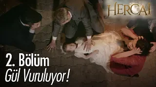 Gül vuruluyor! - Hercai 2. Bölüm