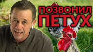 ВЫ БУДЕТЕ В ШОКЕ! ЖЕСТЯК! "АМИГО" ОТ СТРАХА ДАЛ ЗАДНЮЮ! | Как не платить кредит | Кузнецов | Аллиам