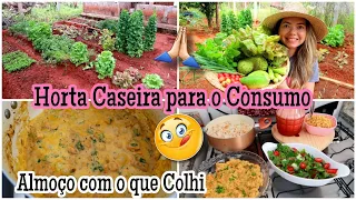 CUIDEI DA HORTA | COLHEITA MARAVILHOSA | ALMOÇO | VIDA NA ROÇA | DONA DE CASA EM AÇÃO!