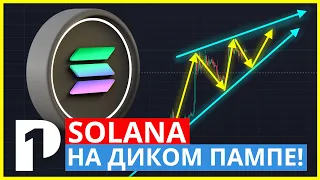 Solana рост сойдет на нет? l Solana прогноз на февраль 2023