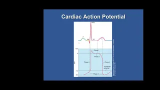 Ch  17   Cardiovascular Emergencies Part 2