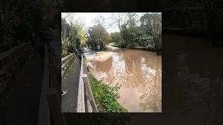 Tesla Is Not Scared Of The Rufford Mill Ford