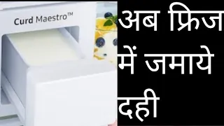 curd maestro curd.फ्रिज में जमाये एकदम थिक दही।curd recipe.देखिए दही maestro में कैसे जमाते हैं दही।