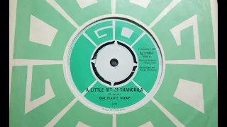 Psych - OUR PLASTIC DREAM - A Little Bit Of Shangrila [EQ] - GO AJ 11411 UK 1967 Dancer Pierre Tubbs