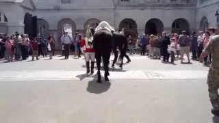 Falling horse during guard change at Whitehall London