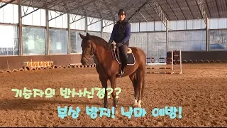 부상을 방지하는 낙마 예방 6가지