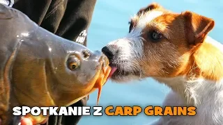 Pierwsze Spotkanie z CARP GRAINS - Gosławice 2018 - Zawody karpiowe - Wędkarstwo [WP]